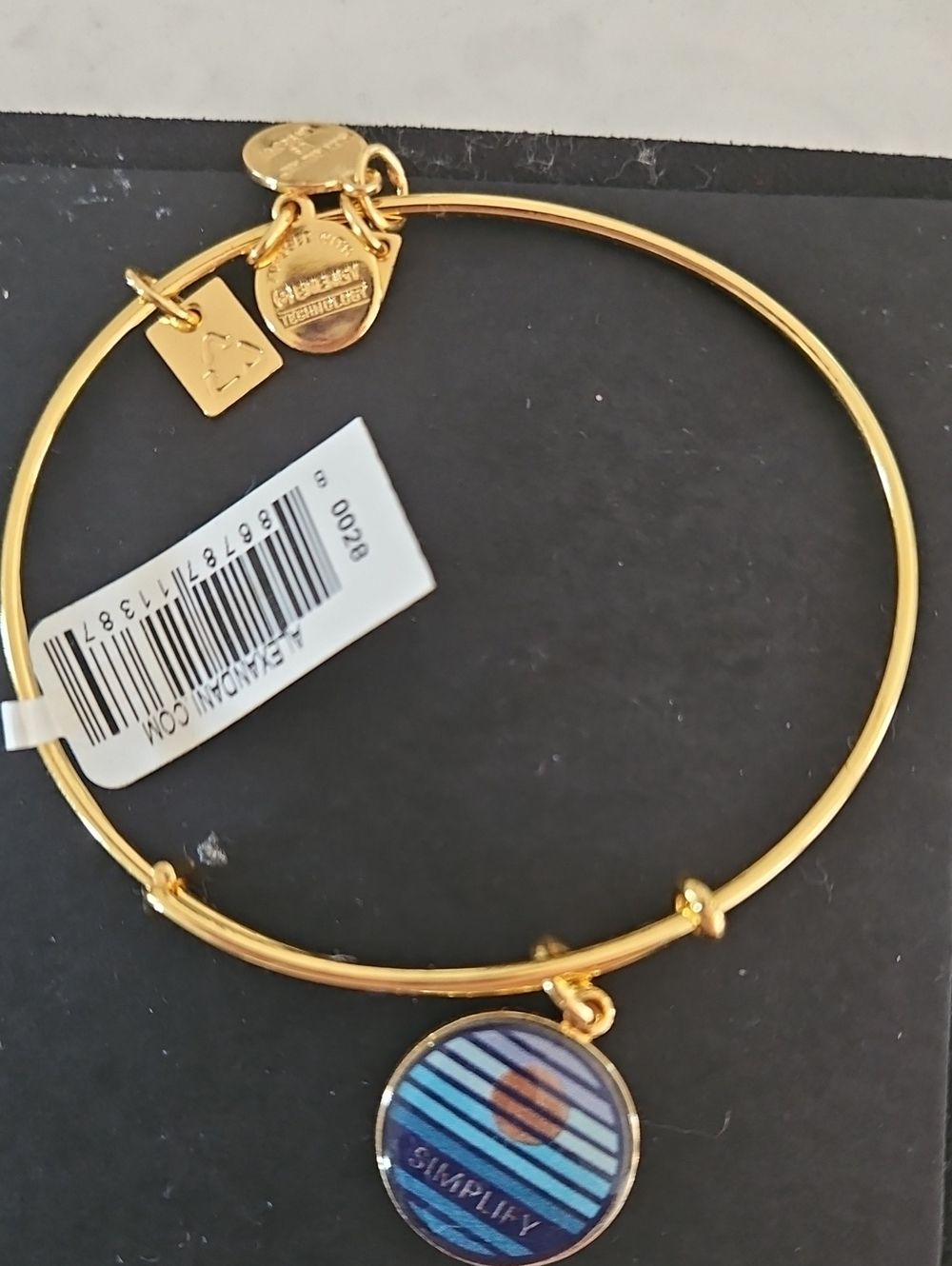 Alex and Ani Gold Tone Bracelet with Blue Striped Charm